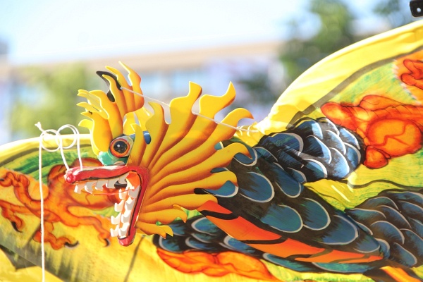 Kulturen    054.jpg
